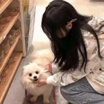 梦幻换装达人官方版下载